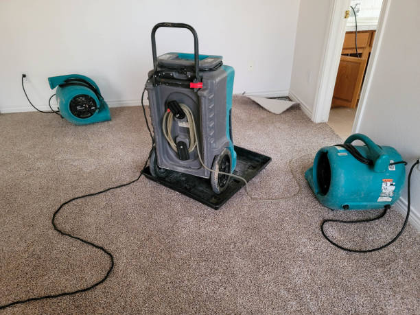 Best Water damage repair service  in Rochelle, GA