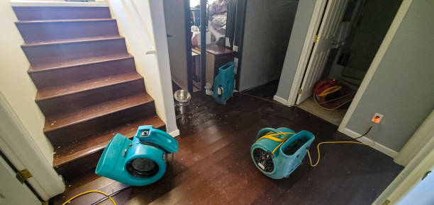 Best Water damage contractors near me  in Rochelle, GA
