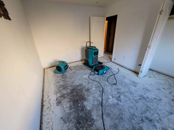 Best Ceiling water damage repair  in Rochelle, GA