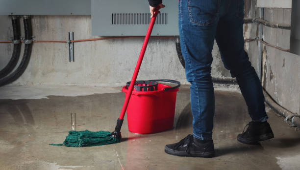 Best Flooded house restoration  in Rochelle, GA