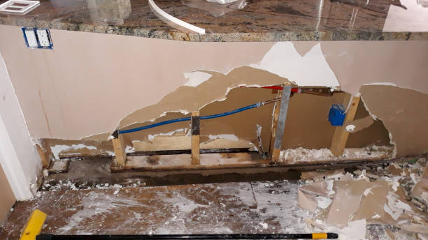 Best Sewage cleanup and water damage restoration  in Rochelle, GA