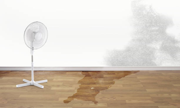 Best 24-hour water damage restoration  in Rochelle, GA