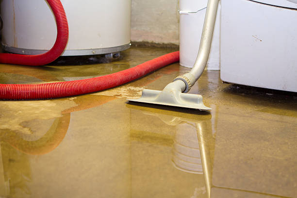 Best Water damage restoration cost  in Rochelle, GA