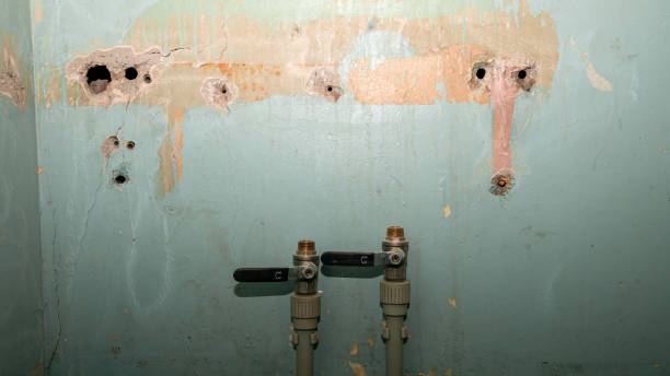 Best Basement water damage restoration  in Rochelle, GA