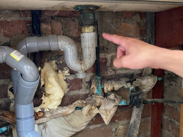 Best Water damage restoration near me  in Rochelle, GA